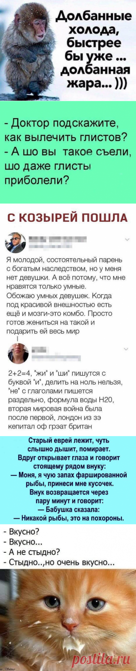 20 анекдотов, шуточек и историй в картинках, которые развеселят всех и каждого | В темпе жизни