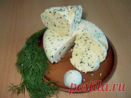 Приготовление сыра в домашних условиях, 23 рецепта домашнего сыра