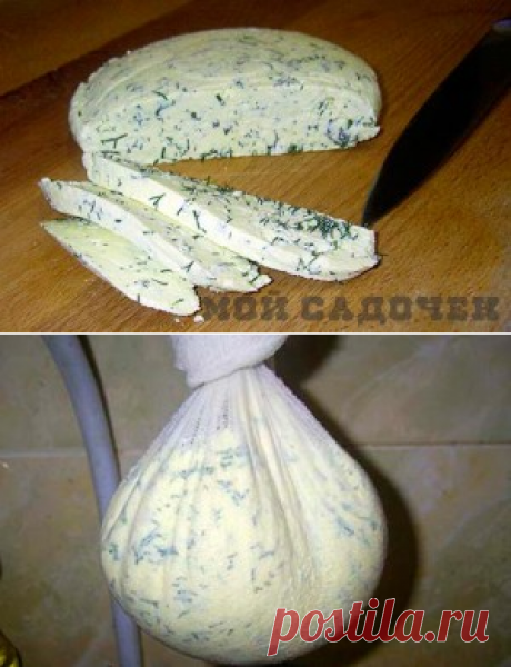 Домашний сыр с зеленью | Мой садочек