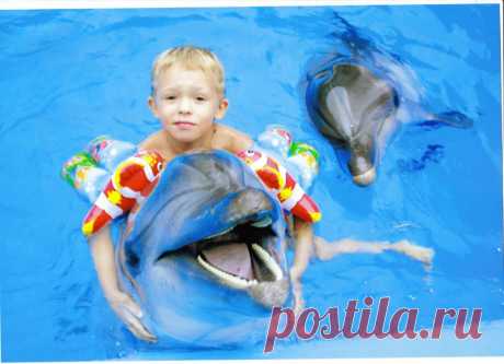 О дельфинотерапии. Зачем людям плавать с дельфинами? | Планета детства