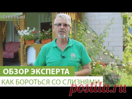 Как бороться со слизнями