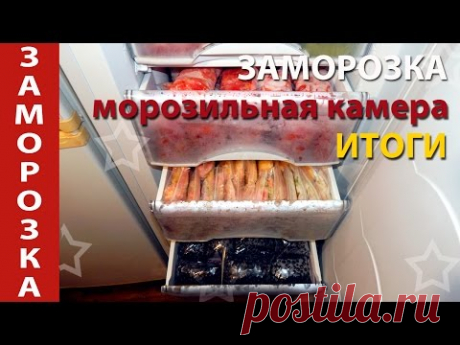 Итоговая заморозка овощей и ягод. Морозильная камера