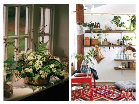 Бохо-стиль: как украсить дом с помощью растений — Полезные советы