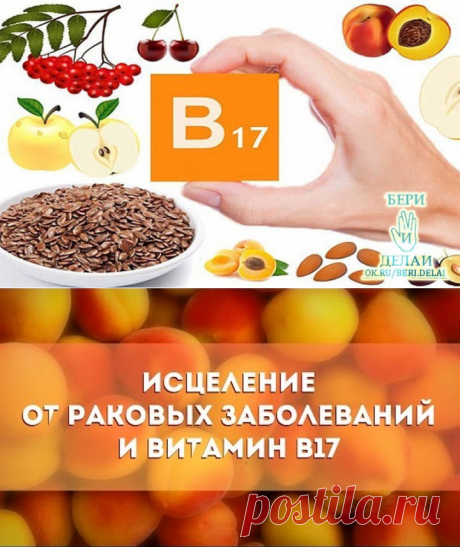 Витамин B17 запрещен, потому что он лечит рак и уничтожает любую злокачественную опухоль!