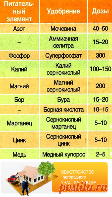 Как вносить удобрения, подкормки для овощей