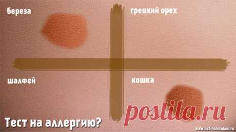 Что такое аллергия, её виды и как она возникает? 

Не всегда человек знает, на что у него наблюдается аллергия.

Для того чтобы избежать неприятных сюрпризов, делаются тесты на коже.