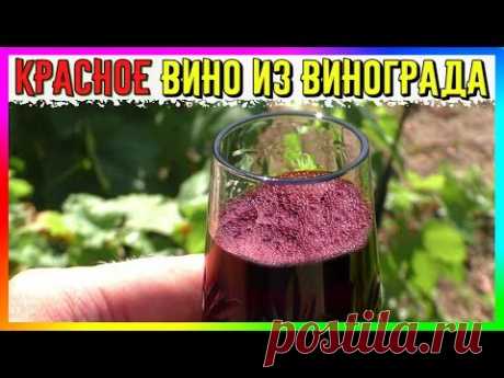 🍷 Красное Полусладкое Вино из Тёмных Сортов Винограда 🍇