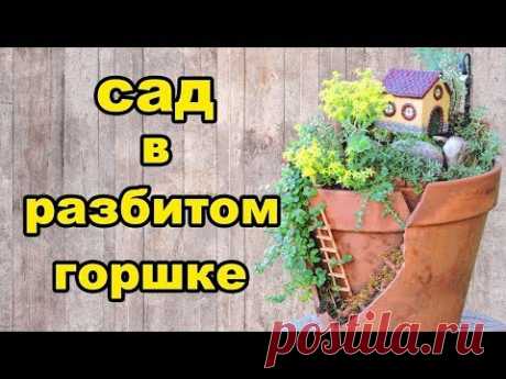 Сад в разбитом горшке