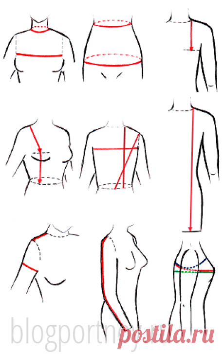 Как снять мерки для построения выкройки плечевого изделия
