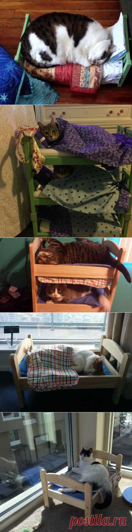 Кукольные кроватки для котиков