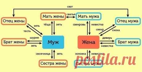 Как не запутаться в родственниках — Полезные советы