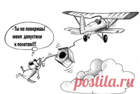 Анекдот про самолёт, очень смешная подборка | V.K. | Яндекс Дзен