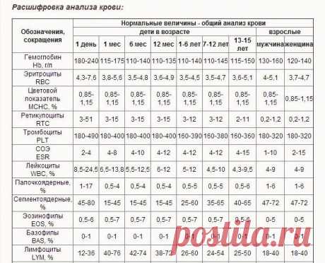 биохимический анализ крови расшифровка у взрослых норма в таблице — Яндекс: нашлось 7 млн результатов