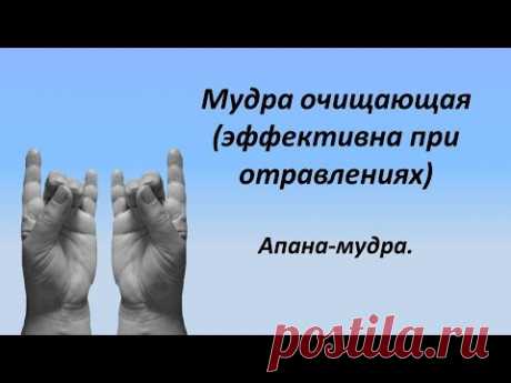 Апана мудра для очищения и  похудения.