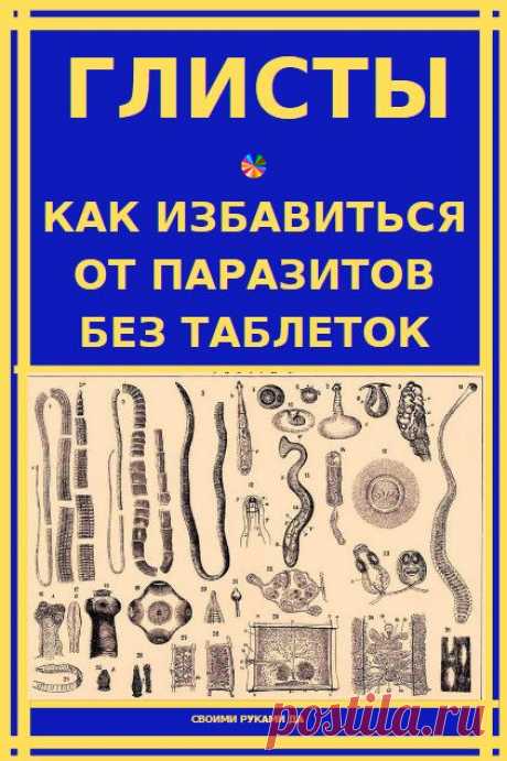 Глисты и здоровье. Как избавиться от паразитов быстро и без таблеток?