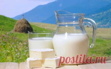 Польза молока оказалась мифом | Здоровье и медицина