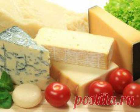 Польза и вред сыра: стоит ли его есть? | Советы Народной Мудрости