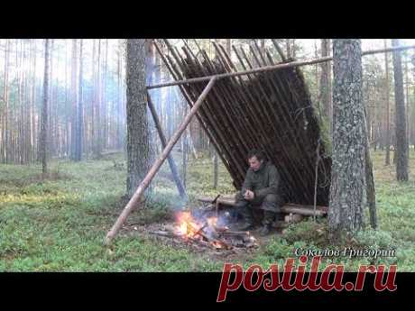 Укрытие от дождя в сосновом лесу из природных материалов.