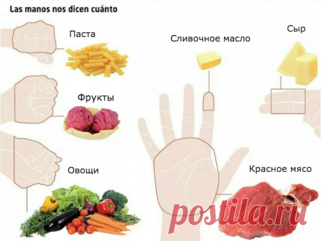 Какое количество продуктов можно съедать в течениеи дня