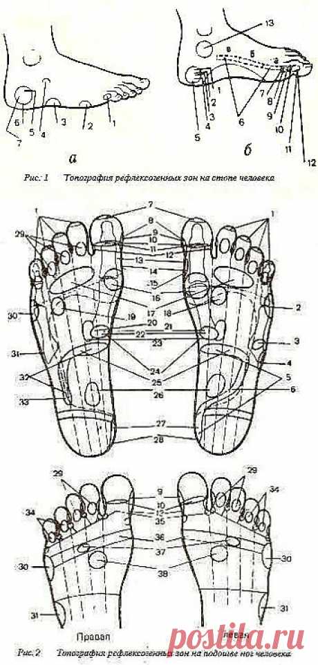 Индийский массаж стоп. Практическое пособие.