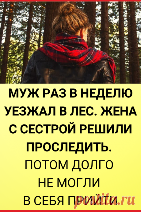 Муж раз в неделю уезжал в лес. Жена с сестрой решили проследить. Потом долго не могли в себя прийти