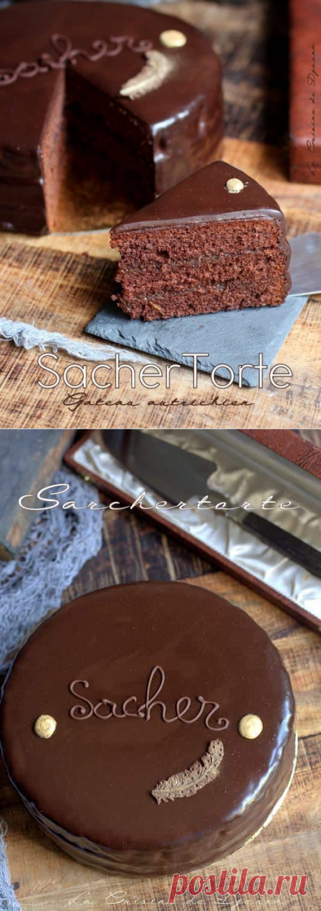 Sachertorte gateau autrichien : recette dessert au chocolat