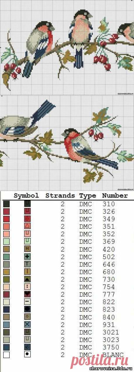 СХЕМА ВЫШИВКИ &quot;СНЕГИРИ&quot; - ВЫШИВАЕМ ПТИЦ - ВЫШИВКА КРЕСТИКОМ - Каталог файлов - ЧАРОВНИЦА - САЙТ ДЛЯ ЖЕНЩИН И О ЖЕНЩИНАХ
