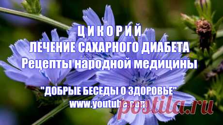 ЦИКОРИЙ. ЛЕЧЕНИЕ САХАРНОГО ДИАБЕТА -
Многие из вас уже знают, что корни цикория богаты фруктозой, являющейся полезным пищевым продуктом для диабетиков. Клинические исследования показали, что препараты инулина, сделанные из корней, дают ярко выраженный гипогликемический эффект у больных инсулиннезависимым сахарным диабетом и, кроме того, понижают суточные колебания уровня глюкозы в крови. Благодаря этому инулин цикория можно применять в качестве средства для лечения пациентов с диабетом II типа.