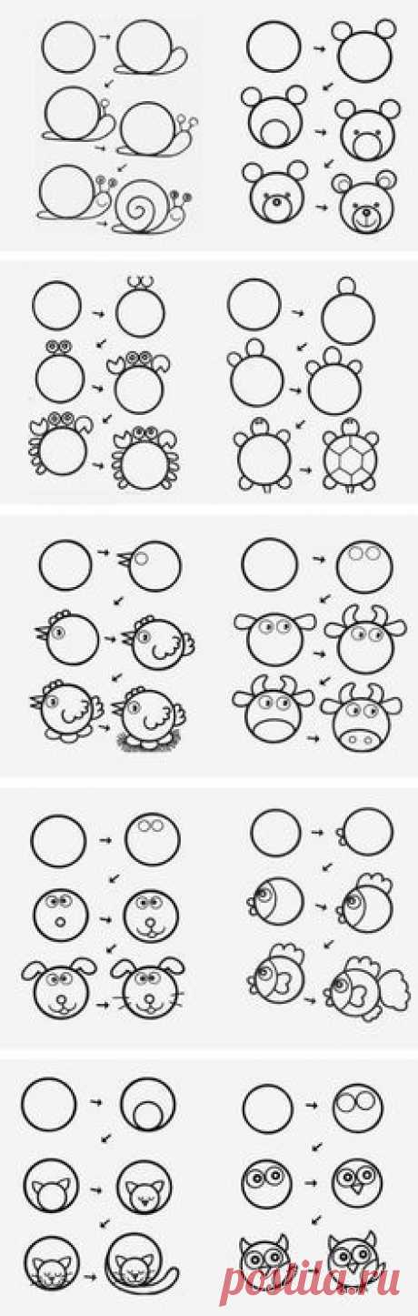 (67) lo que puede hacer un circulo | Draw