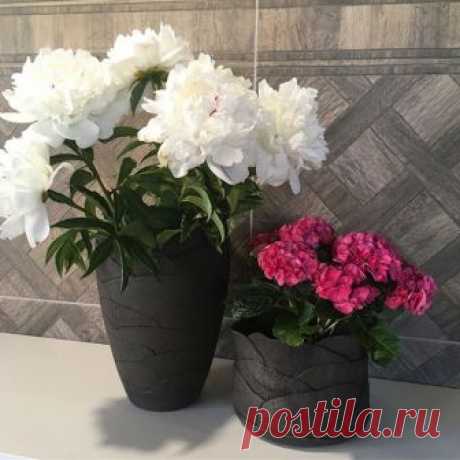 Французская вакуумированная керамическая масса Solargil #PFHN - действительно #ультрачерная уже после 1000°С.

Идеально подходит для изготовления больших и даже очень больших изделий. 
Бисквитный обжиг: 1020°С
Второй обжиг (на температуру глазури): 1020-1050°С
Возможен монообжиг.
Всячески тестируем ее сейчас😉и скоро поделимся результатами!🤗 Вес упаковки 12,5кг. Цена за упаковку на на день публикации 51,25 BYN. Подробнее на сайте www.ceramist.by #чернаяглина #керамическая...