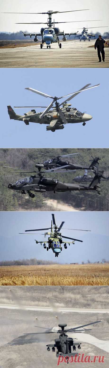 Воздушные бои: Ка-52 &quot;Аллигатор&quot; против AH-64 Apache — Илья Щеголев — Российская газета