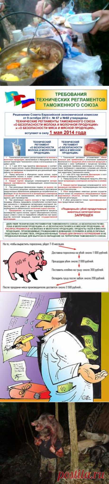 ​Благие намерения властей, усложняющие жизнь! ОЛЕНЬ ОПЫТ ЛОВЛЯ ЗВЕРЬ ПУЛЯ МУЖЧИНА ШКУРА ВИНТОВКА ЛИСИЦА ружьё дичь добыча зверь кабан собаки гончая олень сокол дробь лес сезон собака желание осторожность охотник порох опасность капкан карабин дрофа стрельба медведь животные тропа лось стрелок хищник патрон утка дробовик кулик овца заяц браконьерство винтовка рябчик выслеживание гидрокостюм выстрел волк борзая куропатка нож водка селезень олени лиса глухарь оружие гончии