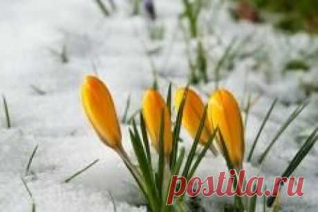 31 марта в народном календаре Кирилл — Дери полоз