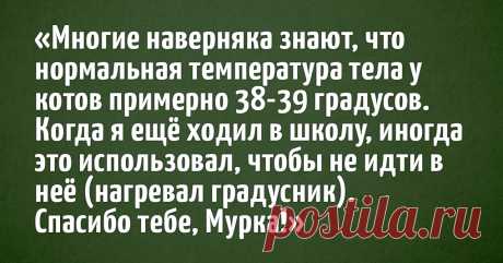 Пользователи интернета поделились забавными и немного безумными лайфхаками, которые когда-то помогали им в жизни. И ведь они реально работают!  