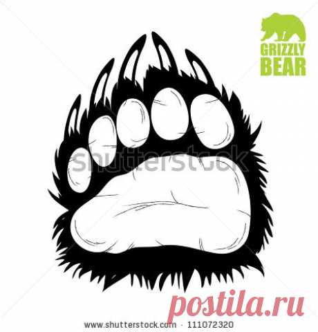 116277084_large_stockvectorbearpawvectorillustration111072320.jpg (450×470)