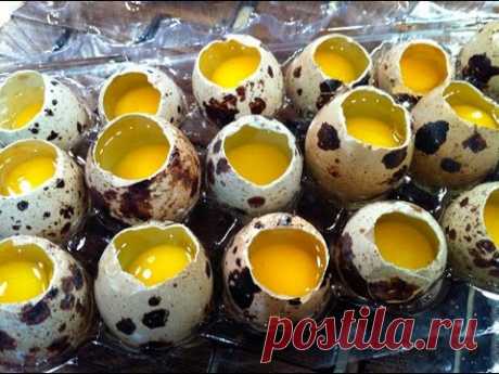 Целительная сила куринных и перепелинных яиц, лечение рака инъекциями живого яйца, 29 народных рецеп