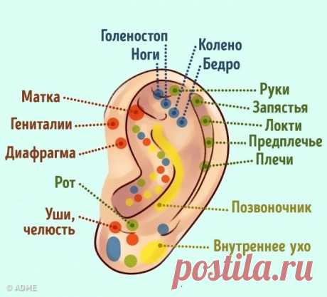 Узнайте, что ваши уши говорят о вас