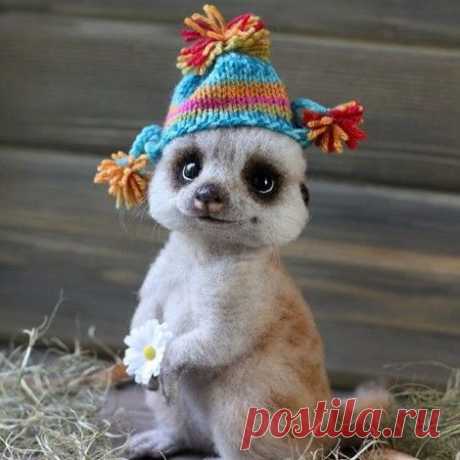 забавные животные: 9 тыс изображений найдено в Яндекс Картинках