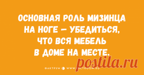 Забавные анекдоты обо всём на свете, которые вызовут у вас неконтролируемый смех