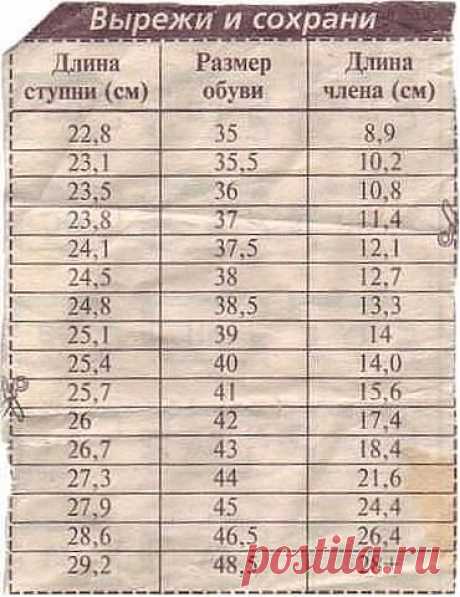 Стихи смешные про мужское достоинство :: Женская грудь и Мужское достоинство со стороны поэта | Форум