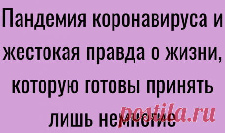 Пандемия коронавируса и жестокая правда о жизни, которую готовы принять лишь немногие
Я наблюдал за ходом манипуляции на экране монитора, пока хирург вводил катетер через кисть прямо мне в сердце. Он произнес «ага», и разместил два стента. Затем он ввел еще одну дозу контраста и на этот раз я увидел, как кровь наполняет нижнюю камеру сердца. Моя левая передняя нисходящая артерия была почти полностью заблокирована. Позже медсестра […]
Читай дальше на сайте. Жми подробнее ➡