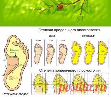 Одноклассники