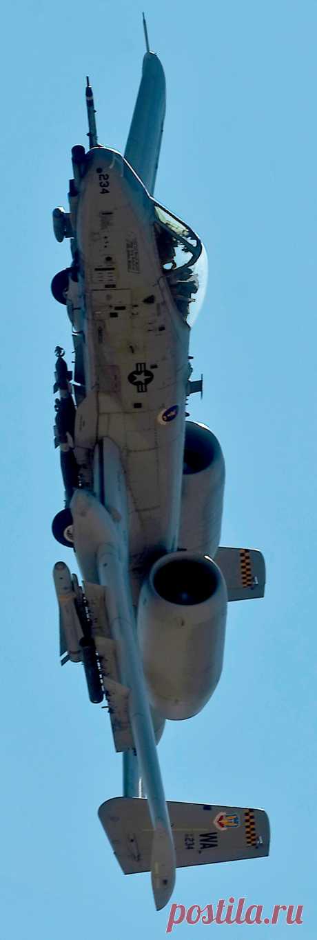 A-10 Thunderbolt. |АВИАЦИЯ