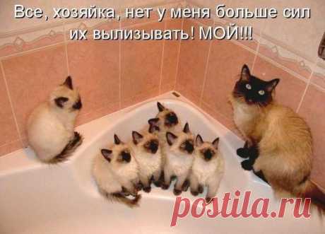 Мой Мир@Mail.Ru...заботливая мамаша.