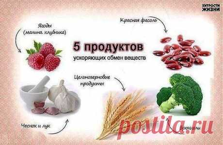 5 продуктов ускоряющих обмен веществ.