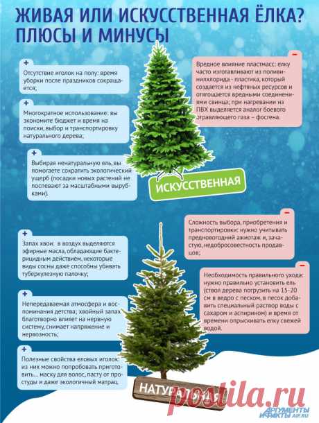 Какая елка лучше – живая или искусственная? Инфографика | Вопрос-ответ | Новый год | Аргументы и Факты