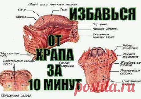 Как за 10 минут избавиться от храпа надолго! Невероятный эффект!