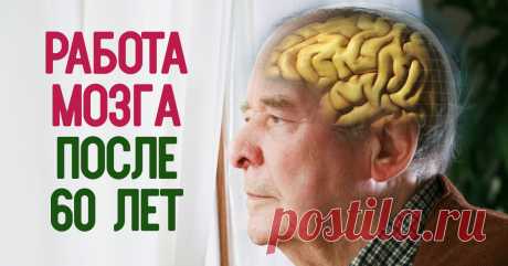 Мозг начинает работать в полную силу в возрасте 60–80 лет! Со временем в головном мозге... Всегда думала иначе.