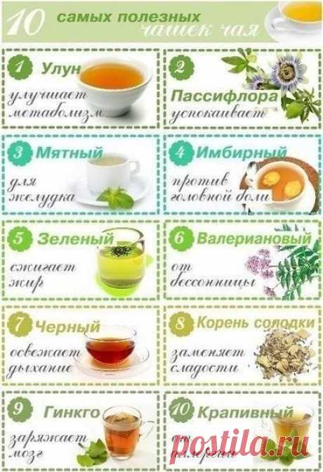 10 самых полезных чашек чая