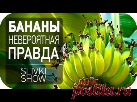Невероятная правда о бананах [SLIVKI SHOW] - YouTube